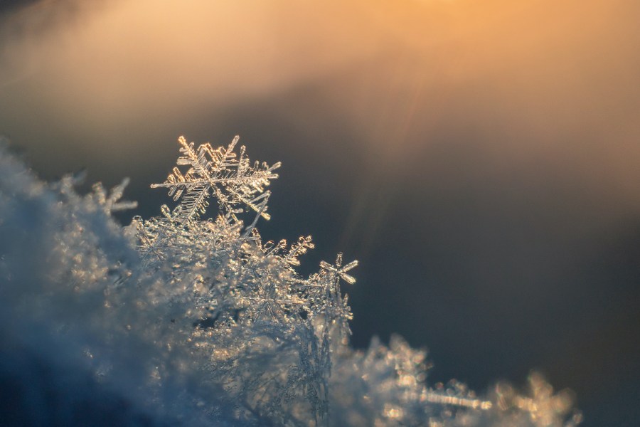 Galushko Semen/Shutterstock